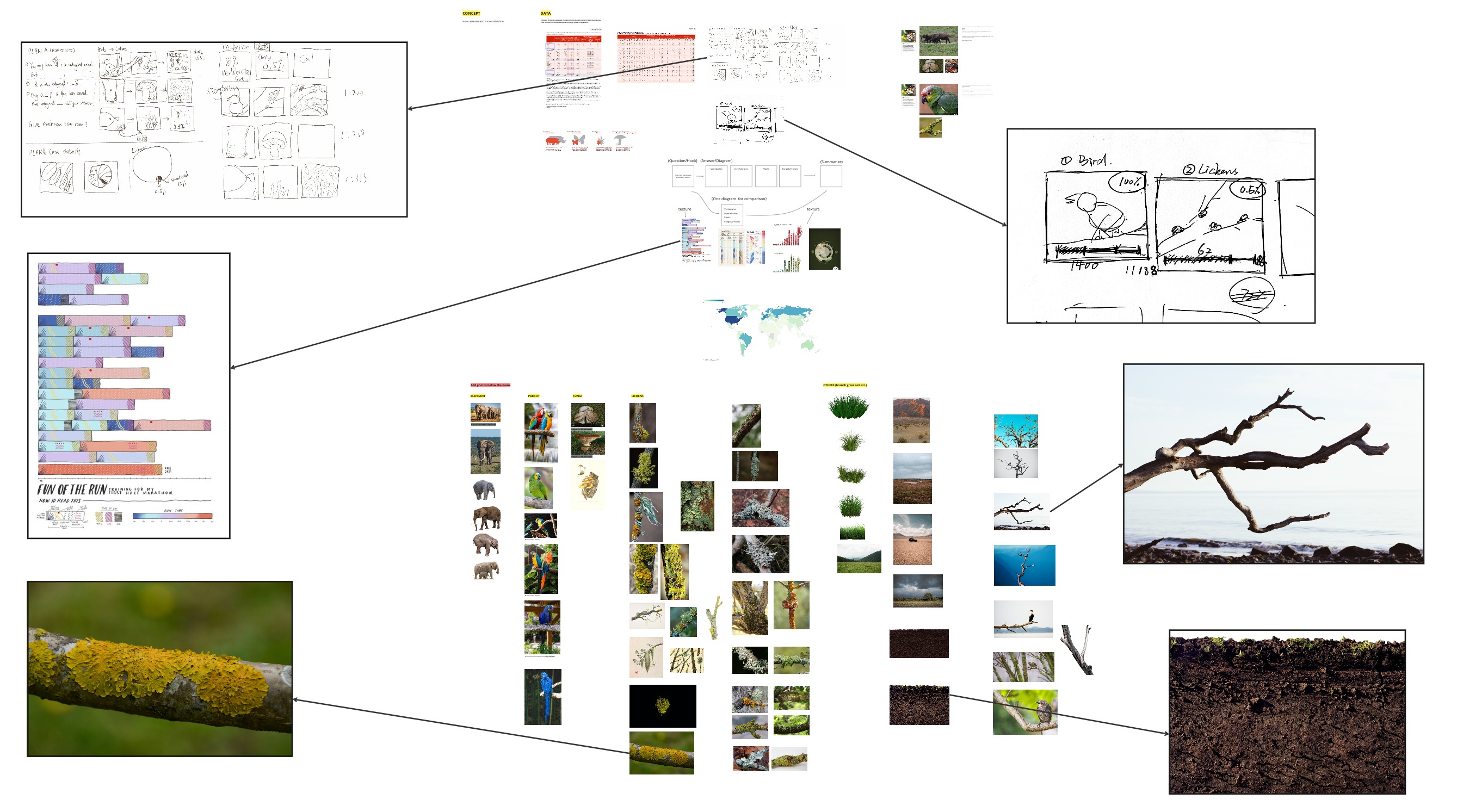Process3